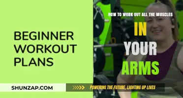 Complete Arm Workout Guide: Targeting Every Muscle for Strength and Tone