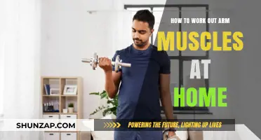Effective Arm Muscle Workouts: Home Exercises for Stronger Arms Fast