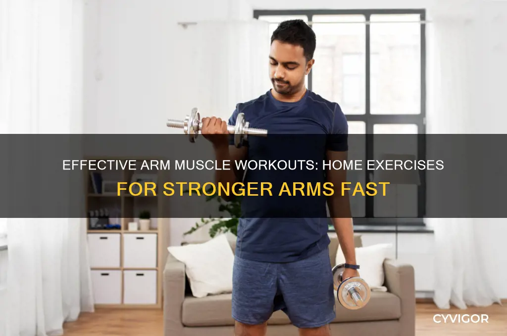 how to work out arm muscles at home