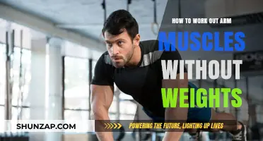Effective Arm Muscle Workouts: Bodyweight Exercises for Strength and Tone
