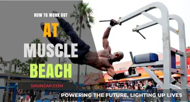 Master Muscle Beach Workouts: Tips for Training in Venice's Iconic Gym