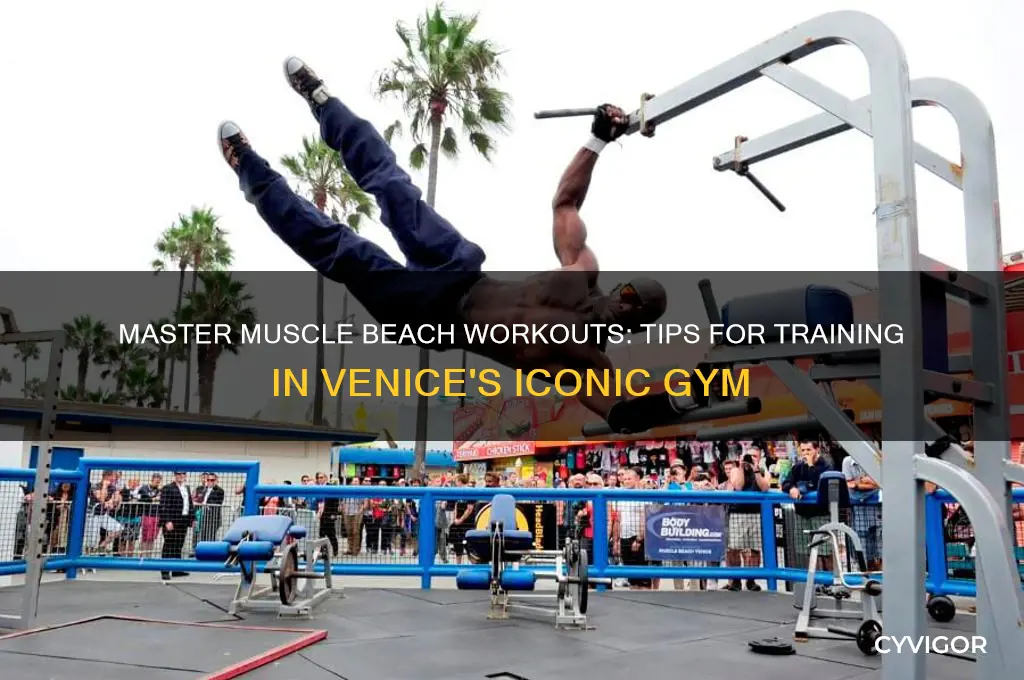 how to work out at muscle beach