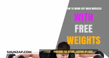 Effective Free Weight Exercises to Strengthen Your Back Muscles