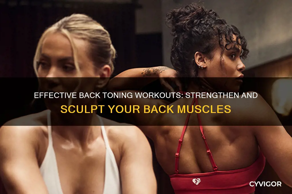 how to work out back tone muscle