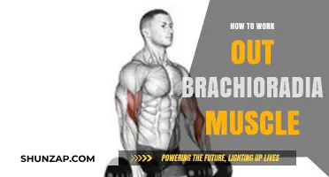 Effective Brachioradialis Workout: Strengthen Your Forearms with These Exercises