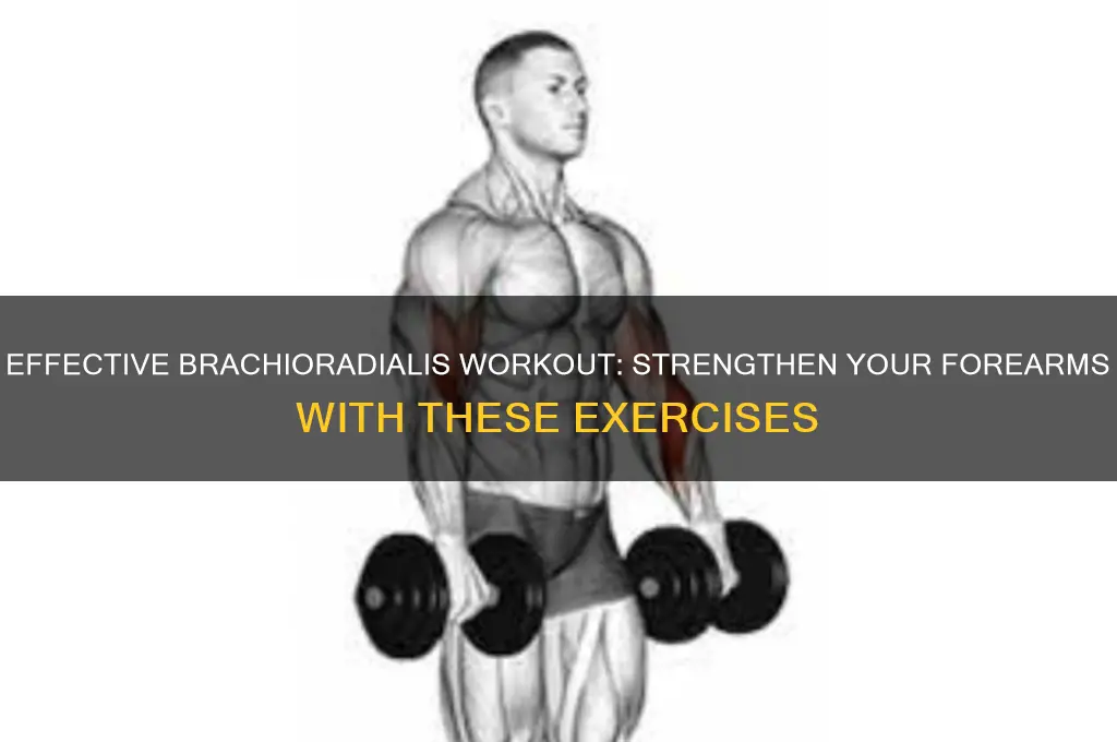 how to work out brachioradialis muscle