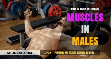 Effective Male Chest Workouts: Targeting Breast Muscles for Strength and Tone