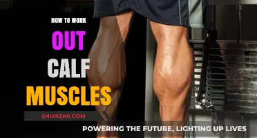 Effective Calf Muscle Workouts: Strengthen and Tone Your Lower Legs