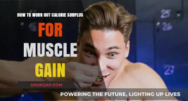 Master Calorie Surplus: Fuel Muscle Growth Effectively and Sustainably