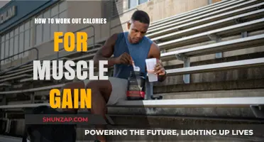 Effective Calorie Calculation Strategies for Optimal Muscle Gain Results