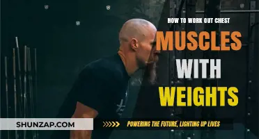 Effective Weighted Chest Workouts: Build Strength and Definition Fast