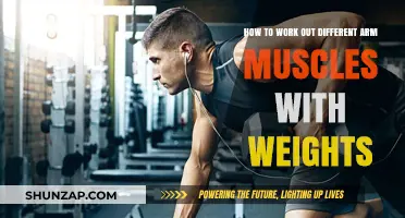 Effective Weight Training Techniques for Targeting Arm Muscles