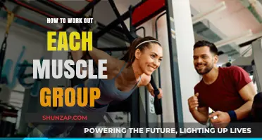 Effective Muscle Group Workouts: Targeted Training for Full-Body Strength