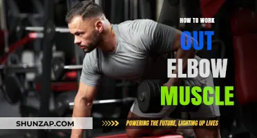 Effective Elbow Muscle Workouts: Strengthen and Tone with These Exercises