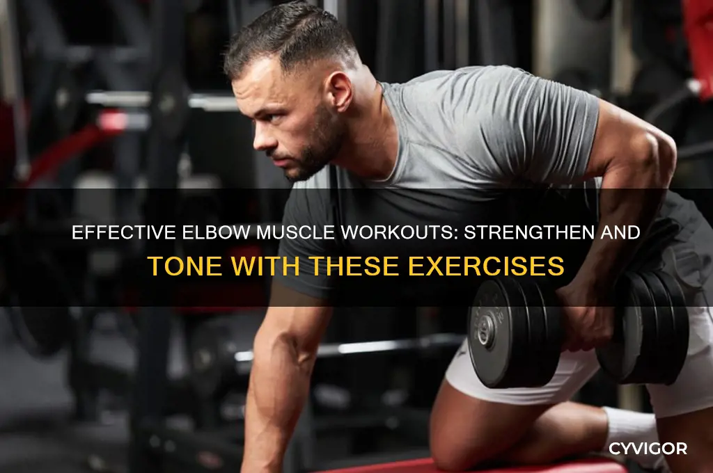 how to work out elbow muscle