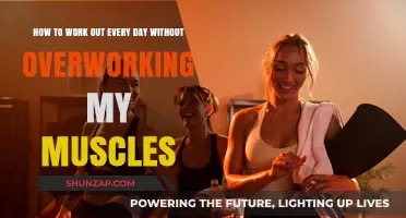 Daily Workouts Without Burnout: Balancing Fitness and Muscle Recovery