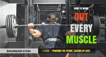 Mastering Full-Body Fitness: Target Every Muscle Effectively in Your Workouts