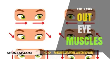 Strengthen Your Vision: Effective Eye Muscle Workouts for Better Focus