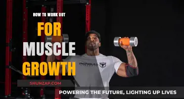 Effective Workout Strategies for Maximizing Muscle Growth and Strength