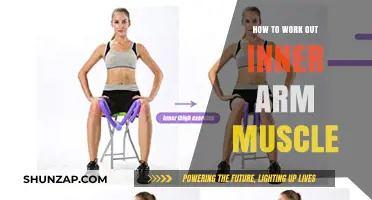 Effective Inner Arm Workouts: Tone and Strengthen Your Biceps and Triceps