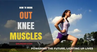 Strengthen Your Knees: Effective Exercises to Target Knee Muscles