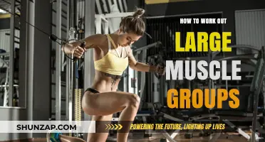 Maximize Strength: Effective Workouts for Large Muscle Groups