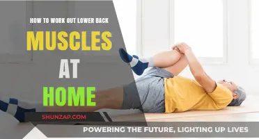 Effective Home Workouts to Strengthen Your Lower Back Muscles