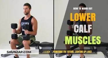 Effective Lower Calf Workouts: Strengthen and Tone Your Calves Fast
