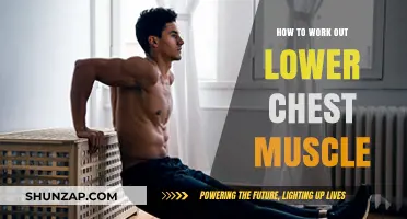Effective Lower Chest Workout: Targeting Muscles for a Balanced Physique