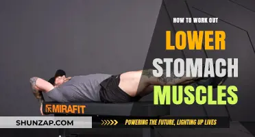 Effective Lower Ab Workouts: Tone and Strengthen Your Core Fast