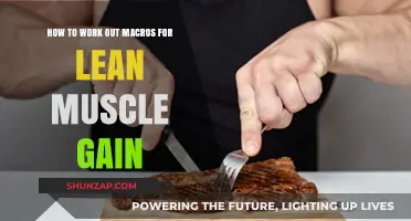 Mastering Macronutrient Calculations for Optimal Lean Muscle Growth