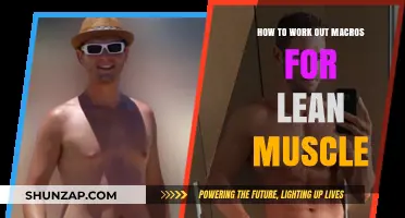 Mastering Macro Calculations for Optimal Lean Muscle Growth