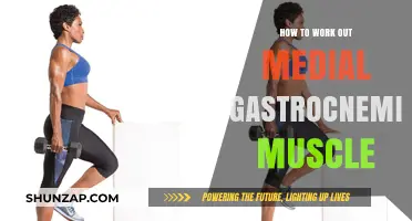 Effective Exercises to Target and Strengthen Your Medial Gastrocnemius Muscle