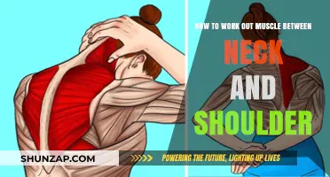 Effective Exercises to Relieve Neck and Shoulder Muscle Tension