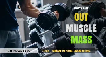 Effective Strategies to Build and Measure Muscle Mass Naturally