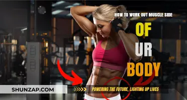 Targeted Muscle Training: Effective Workouts for Your Body's Sides
