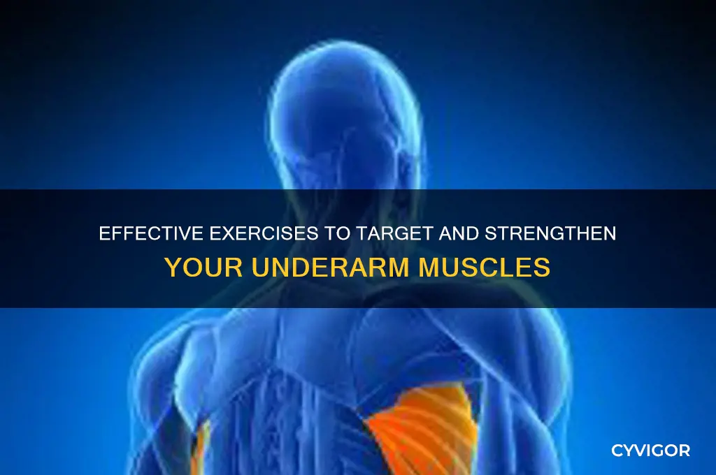 how to work out muscle under armpit