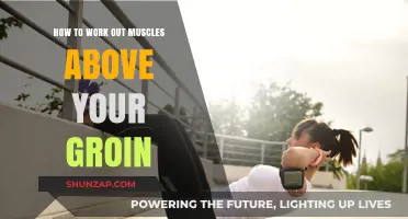 Strengthen Your Lower Abs and Hip Flexors: Targeting Muscles Above the Groin