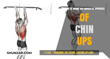 Target Chin-Up Antagonist Muscles: Effective Exercises for Balanced Strength