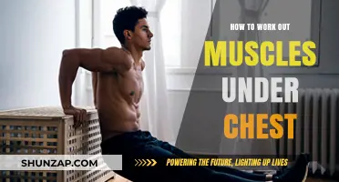Sculpt Your Lower Chest: Effective Exercises for Under-Chest Muscles