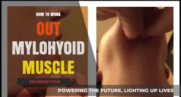 Effective Mylohyoid Muscle Workout Techniques for Strength and Tone