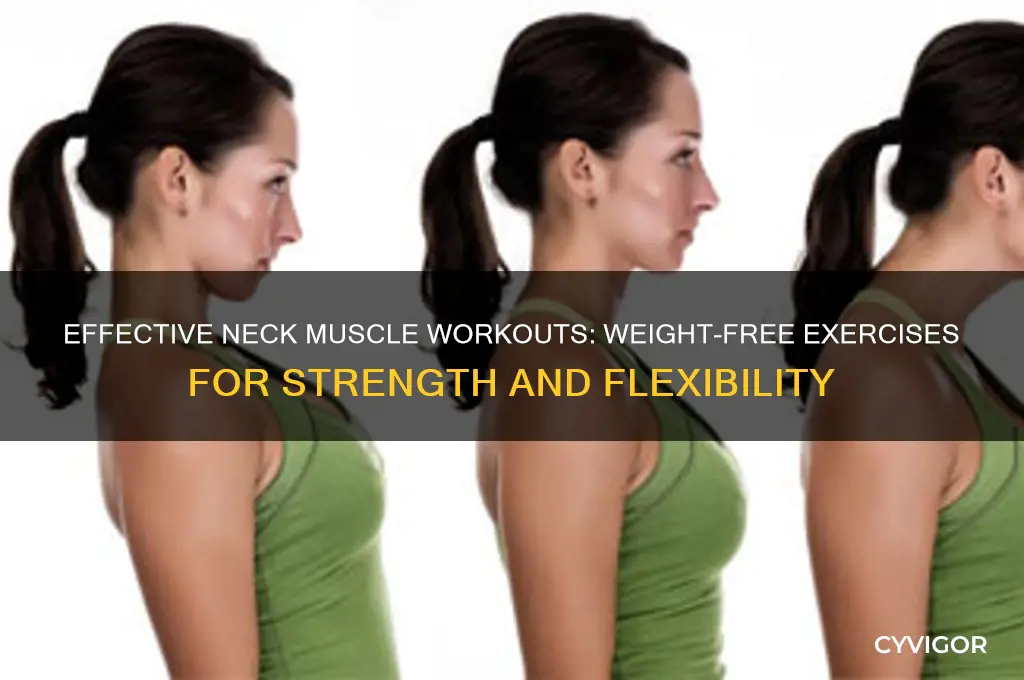 how to work out neck muscles without weights