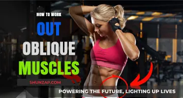 Effective Oblique Workouts: Sculpting Your Core with Targeted Exercises