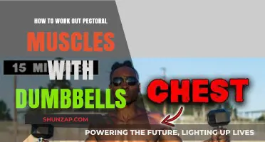 Effective Dumbbell Exercises to Strengthen and Sculpt Your Pectoral Muscles