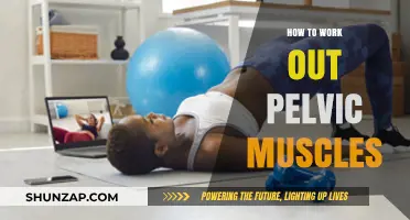 Strengthen Your Core: Effective Pelvic Muscle Workout Guide for Beginners