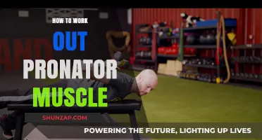 Strengthen Your Pronator Muscle: Effective Exercises and Techniques to Try