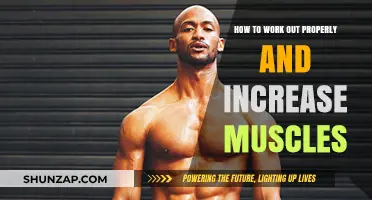 Master Proper Workout Techniques to Build Muscle Effectively and Safely