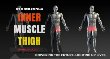 Effective Recovery Tips for Pulled Inner Thigh Muscle: Workout and Healing Guide