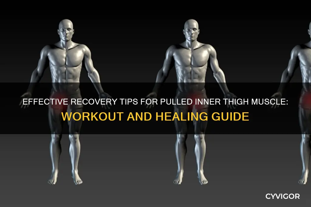 how to work out pulled inner muscle thigh