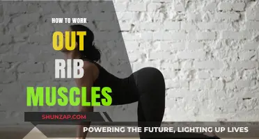 Effective Rib Muscle Workouts: Strengthen and Tone Your Intercostal Muscles